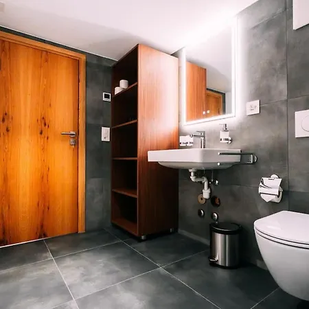 Apartment Alpina One - Charming Prime Location Brienz (Bern)